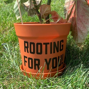 Rooting For You 6” Plastic Terra Cotta Planter Pot