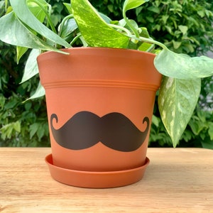 Mustache 6” Plastic Terra Cotta Planter Pot