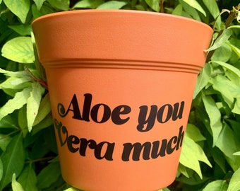 Aloe You Vera Much 6” Plastic Terra Cotta Planter Pot