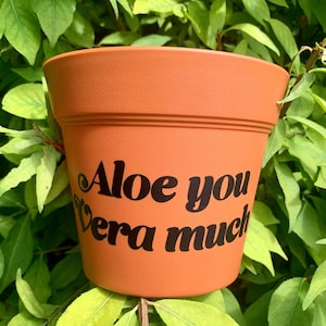 Aloe You Vera Much 6” Plastic Terra Cotta Planter Pot