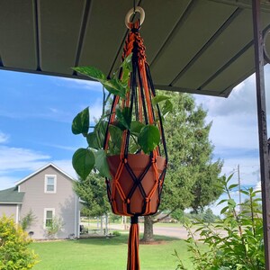 May include: A black and orange macrame plant hanger with a terracotta pot and a green plant hanging from it.