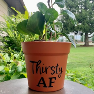Thirsty AF 6” Plastic Terra Cotta Planter Pot