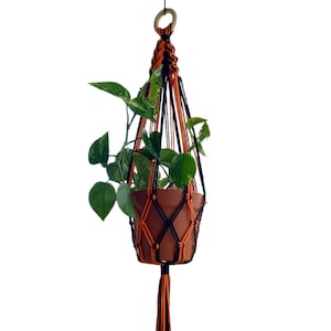 May include: A macrame plant hanger with a terracotta pot and a green plant. The hanger is made with black and orange cord and has a long tassel.