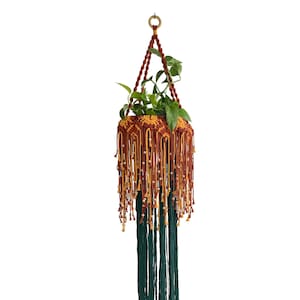 K&ouml;nnte beinhalten: Ein Makramee-Pflanzenh&auml;nger mit einer gr&uuml;nen Pflanze darin. Der H&auml;nger ist aus braunem und gelbem Seil gefertigt und hat einen Fransen aus gr&uuml;nem Seil.