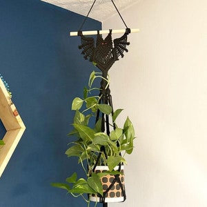 A handmade macramé bat plant hanger made with black macramé cord holding a 6" plant.