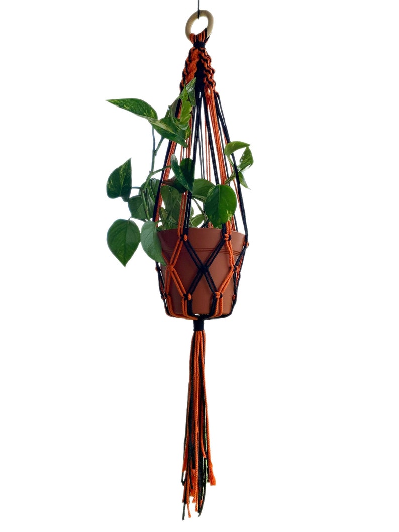 May include: A macrame plant hanger with a terracotta pot and a green plant. The hanger is made with black and orange cord and has a long tassel.