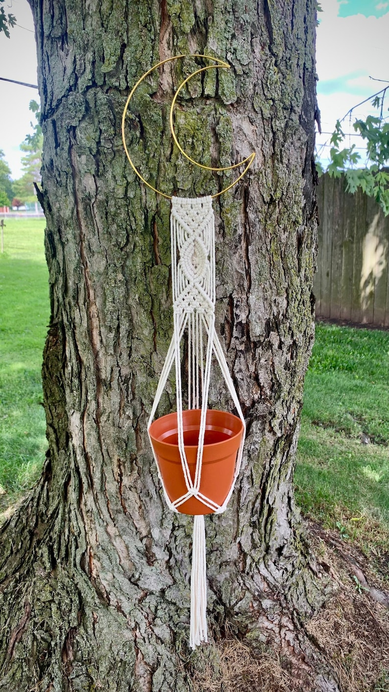 May include: A handmade macram&eacute; plant hanger with a terracotta pot suspended from a gold crescent moon-shaped metal frame. The plant holder is made of off-white rope and is attached to a tree trunk.