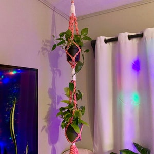 Puede incluir: Un macetero de macram&eacute; rosa y blanco con dos plantas en maceta colgando de &eacute;l. El macetero est&aacute; sujeto al techo con un gancho. Las plantas est&aacute;n en macetas negras y tienen hojas verdes.