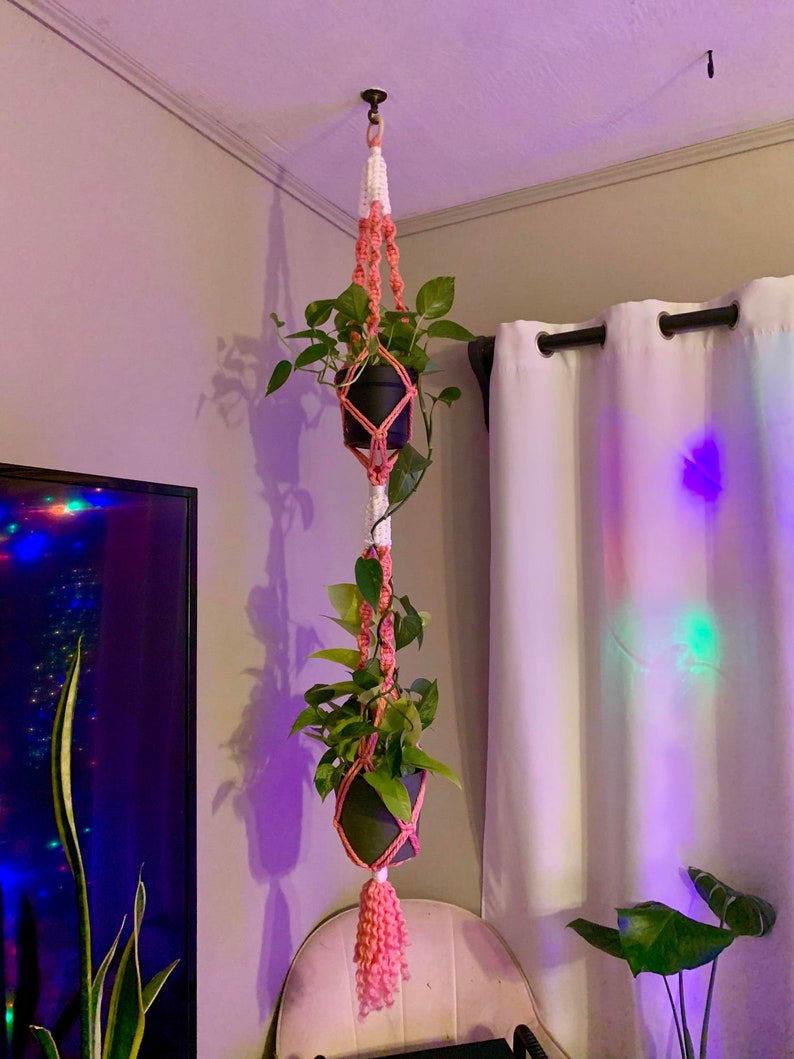 Puede incluir: Un macetero de macram&eacute; rosa y blanco con dos plantas en maceta colgando de &eacute;l. El macetero est&aacute; sujeto al techo con un gancho. Las plantas est&aacute;n en macetas negras y tienen hojas verdes.