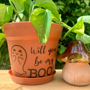 Will You Be My Boo 6” Plastic Terra Cotta Planter Pot