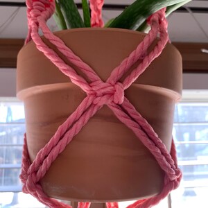Puede incluir: Un macetero de macram&eacute; rosa con una maceta de terracota y una planta suculenta verde.