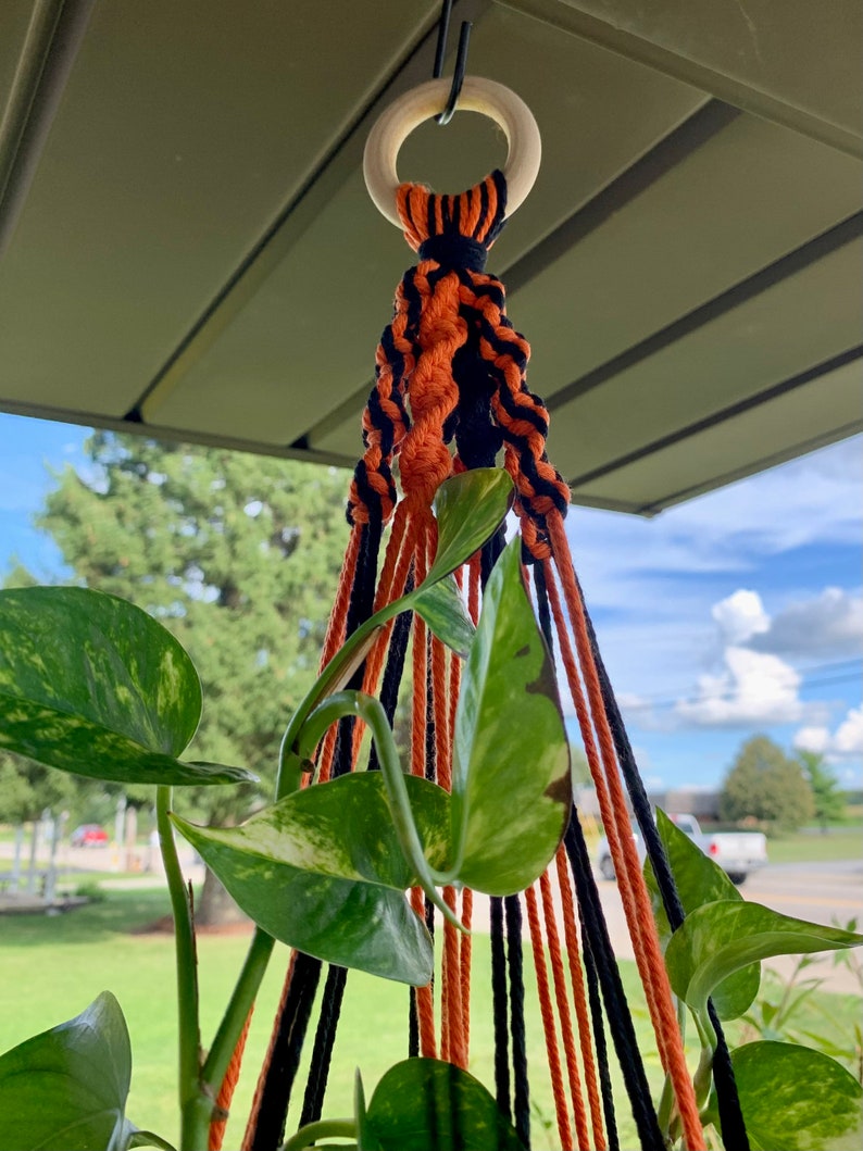 May include: A black and orange macrame plant hanger with a wooden ring at the top. The hanger is hanging from a ceiling and has a green plant growing in it.