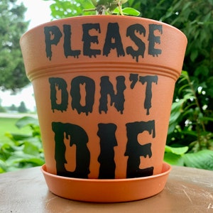 May include: A terracotta plant pot with black dripping lettering that reads "PLEASE DON'T DIE".