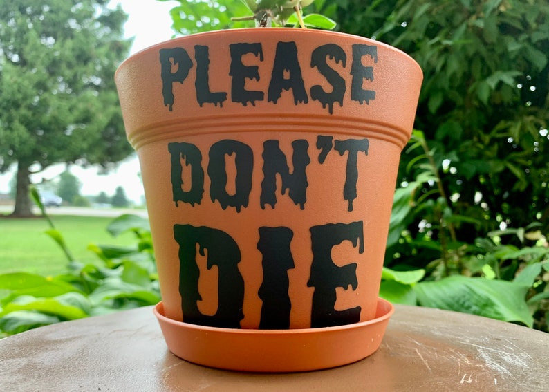 May include: A terracotta plant pot with black dripping lettering that reads "PLEASE DON'T DIE".