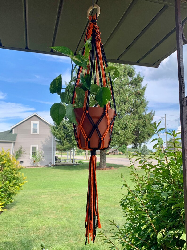May include: A black and orange macrame plant hanger with a terracotta pot and a green plant hanging from it.