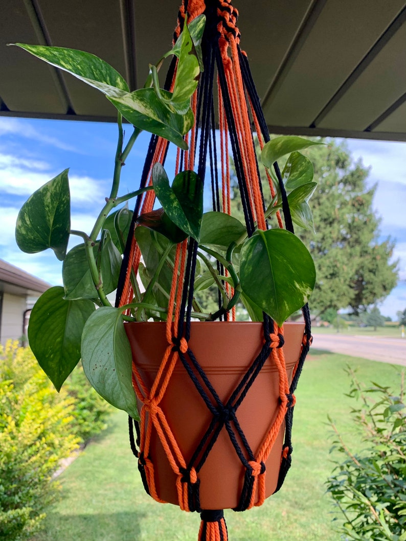 May include: A potted plant with green leaves hangs from a macrame plant hanger with black and orange cords. The hanger is made with a diamond pattern.