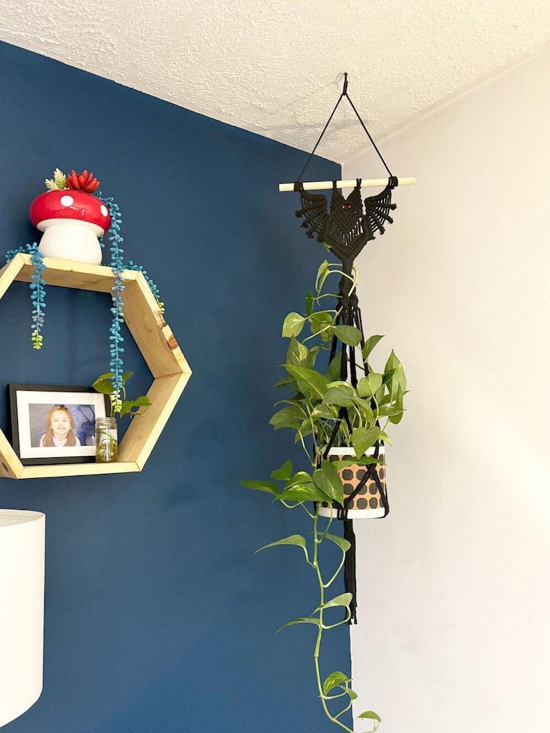 A handmade macramé bat plant hanger made with black macramé cord holding a 6" plant.