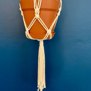 May include: A terracotta plant pot suspended in a cream macrame plant hanger. The hanger has a woven design and a long tassel. The background is a solid, deep blue wall.