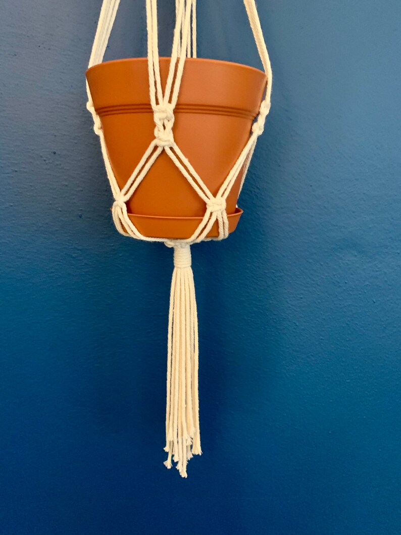 May include: A terracotta plant pot suspended in a cream macrame plant hanger. The hanger has a woven design and a long tassel. The background is a solid, deep blue wall.