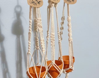Mini Macrame Plant Hangers (3pk)