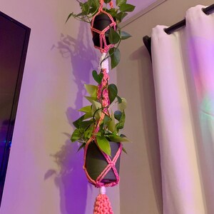Puede incluir: Dos plantas en maceta colgando de un macram&eacute; para plantas rosa y blanco con un borla rosa.