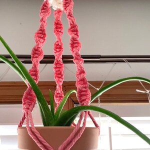 Puede incluir: Un macram&eacute; para colgar plantas de color rosa y blanco con un anillo de madera en la parte superior. Una planta en maceta est&aacute; colgada en el macram&eacute;.
