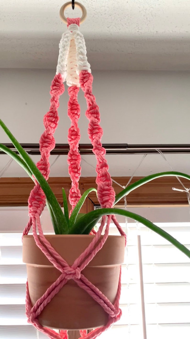 Puede incluir: Un macram&eacute; para colgar plantas de color rosa y blanco con un anillo de madera en la parte superior. Una planta en maceta est&aacute; colgada en el macram&eacute;.