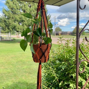 May include: A black and orange macrame plant hanger with a terracotta pot and a green plant hanging from it.