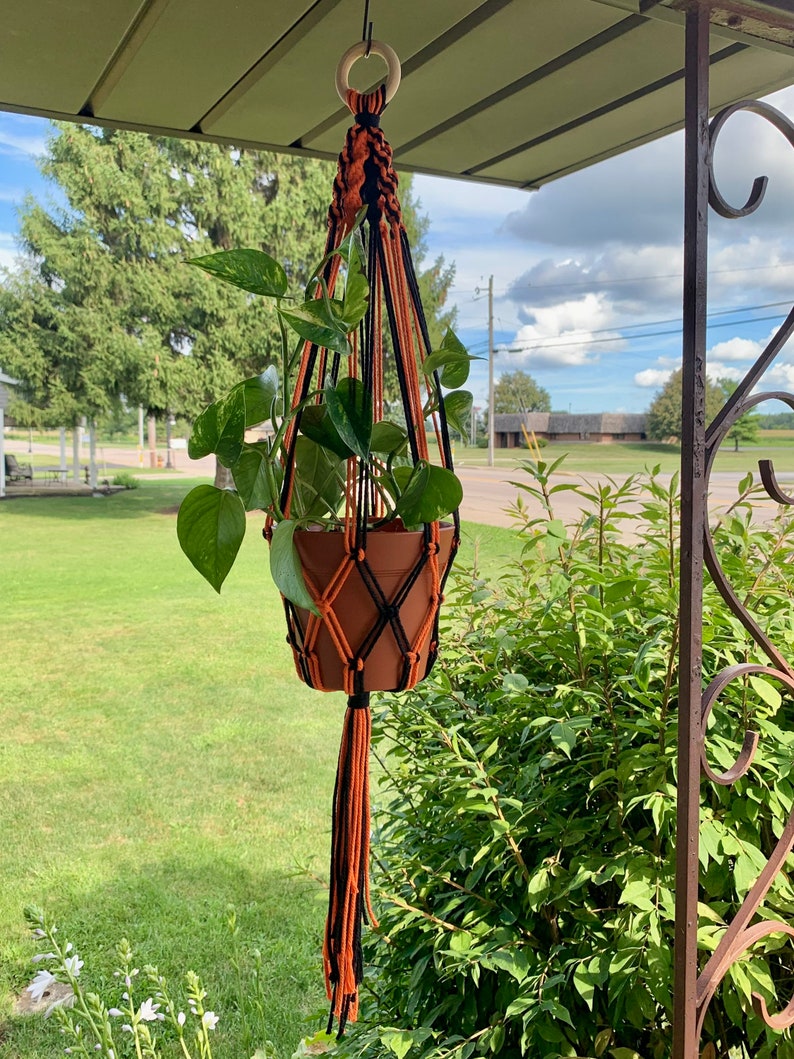 May include: A black and orange macrame plant hanger with a terracotta pot and a green plant hanging from it.