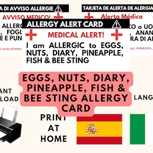 Eieren, noten, dagboek, ananas, vis en bijensteek Allergie Valet Card | Italiaanse allergiewaarschuwingskaart | Spaanse voedselallergiekaart bewerkbaar CANVA