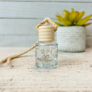 Car Diffuser | Car Freshener | Hanging Car Diffuser | Freshies | New Car Gift