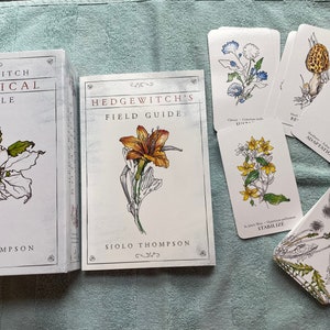 Same Day Oracle or Lenormand Reading
