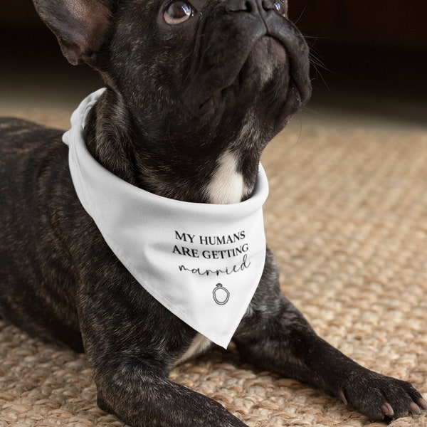 My Parents Are Getting Married SVG, Dog shirt SVG, Dog bandanna SVG,