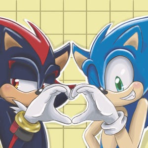 May include: Illustration of two cartoon hedgehogs, one blue and one black, forming a heart shape with their gloved hands. The blue hedgehog has green eyes, and the black hedgehog has red eyes. The background is a light yellow grid.