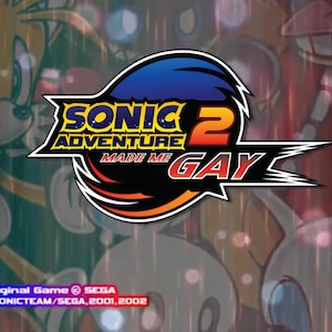 Reusable Vinyl Stickers &quot;Sonic Adventure 2 Made Me LGBT&quot; 3 inch wide funny pride Sonic the Hedgehog SA2