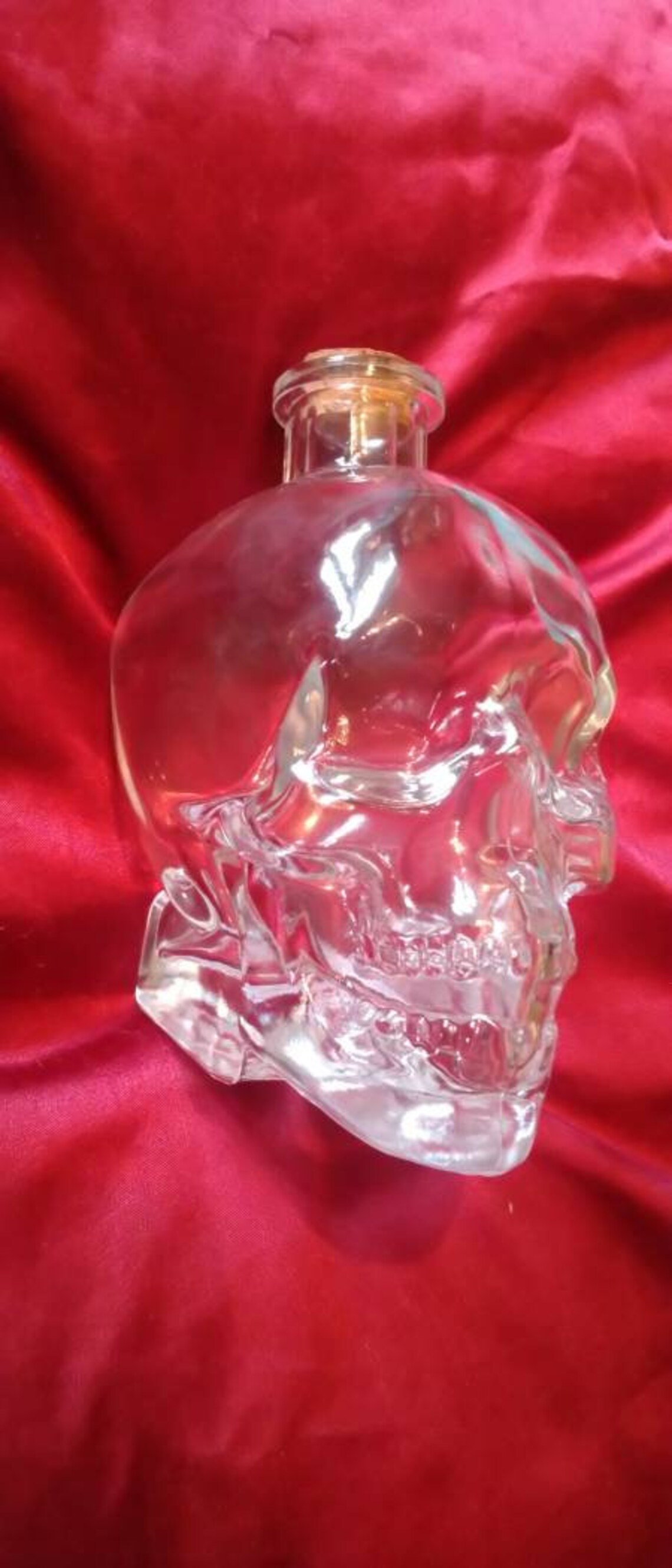 Beautiful clear glass skull jar with cork stopper 1 inch wide Etsy