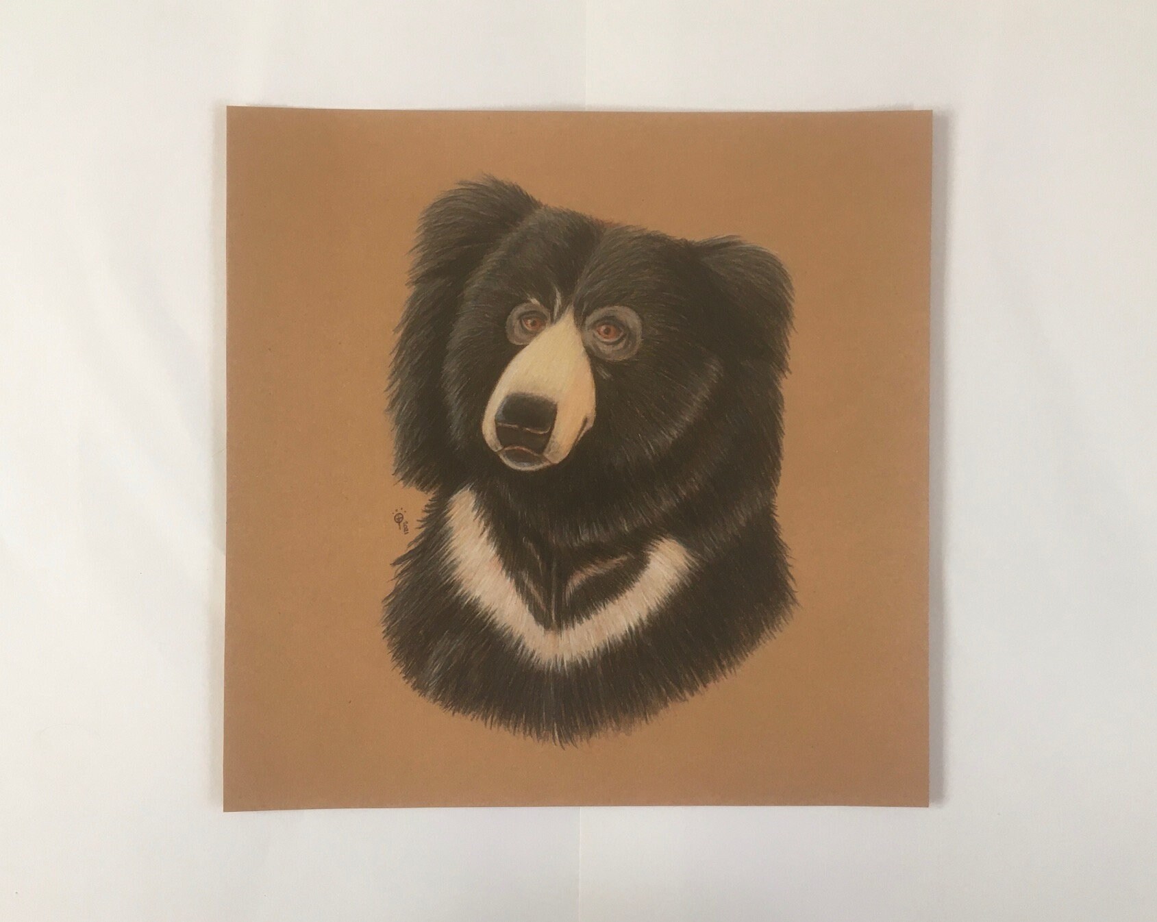 Sloth Bear Realistic Drawing Etsy