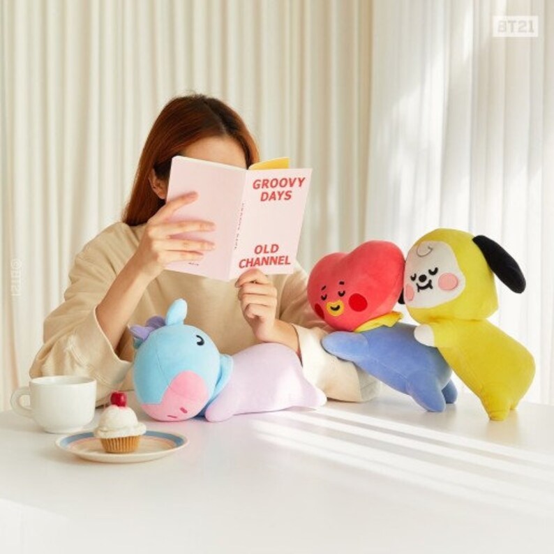 bt21 soft mini pillow cushion
