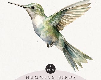 Colibrí en acuarela, archivos PNG de aves, licencia comercial (descarga digital)