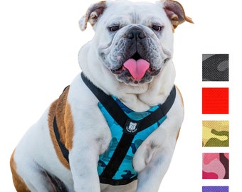 only uniqueness dog harness