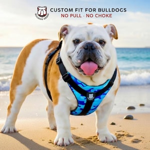 Bulldog Grade Harness 2.0 – Custom Fit, Escape-Proof, with Padded Handle & Car Seatbelt Loop – Specifically Made for Bulldogs