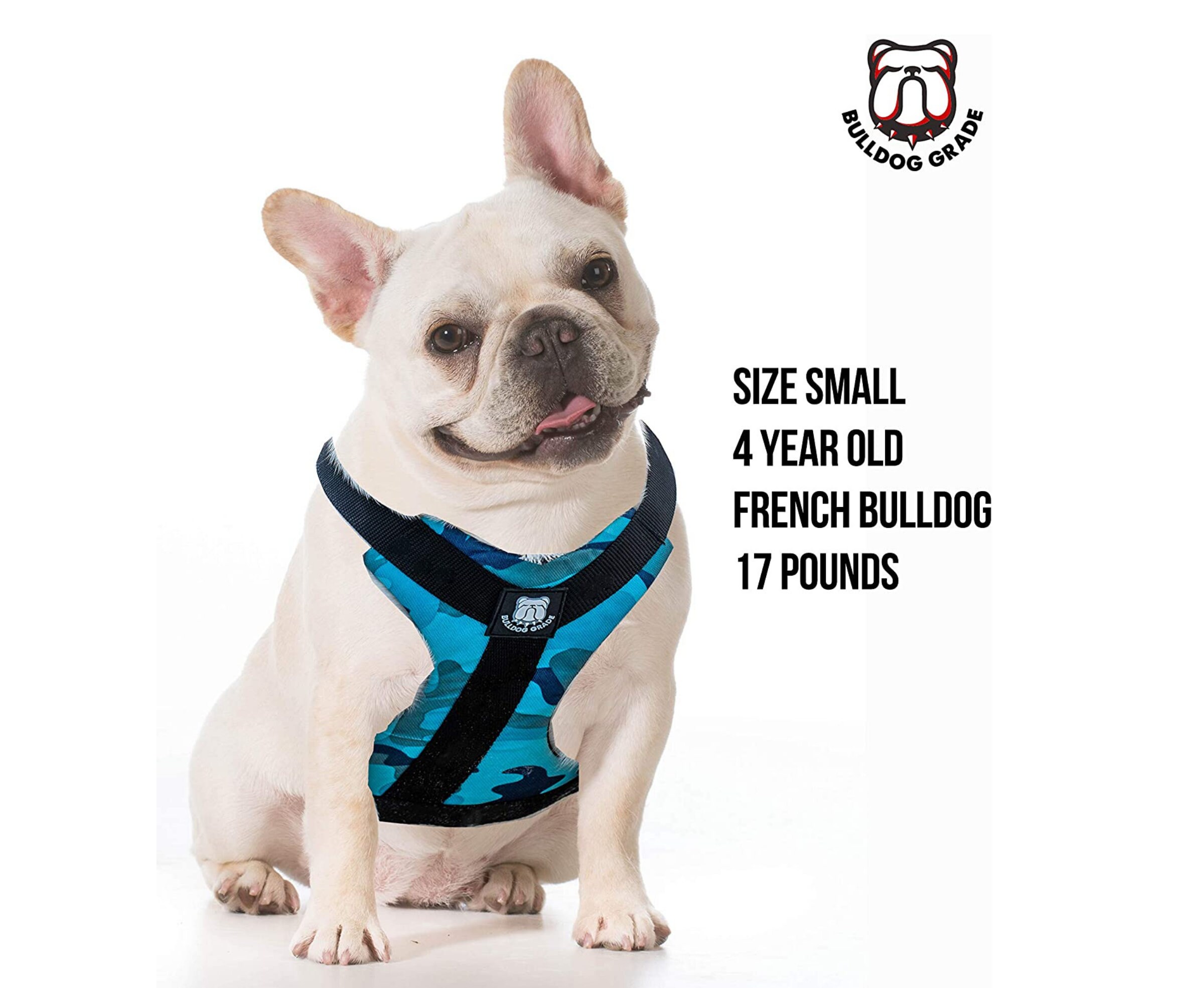 french bulldog no pull harness