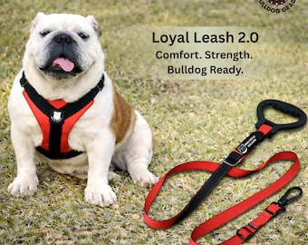 Correa Bulldog de Bulldog Grade®: resistente, ajustable, impermeable, con asa ergonómica y cómoda, y mosquetón de grado militar.