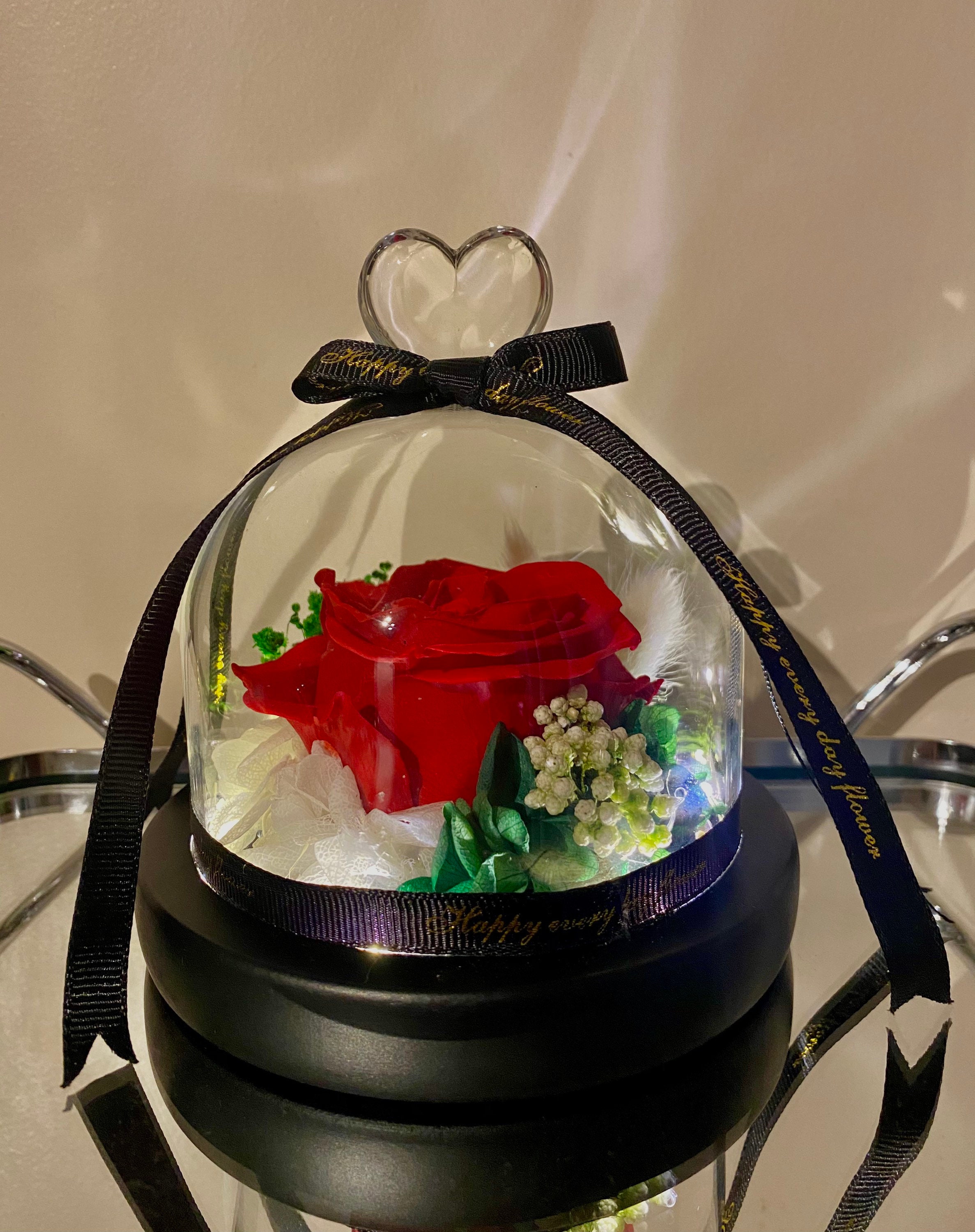 Eternal Preserved Rose in Glass Dome Valentines Day Etsy UK