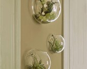 Set of 3 Wall Bubble Terrariums Indoor Plants Holders Wall Glass Vase for Flowers Wall Mounted Planters for Succulents Air Plants Wall Decor