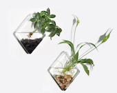 Set of 2 Wall Hanging Glass Plant Terrarium Diamond Shape Glass Vase for Air Plant Perfect for Hydroponic Plants Home Garden Wedding Decor