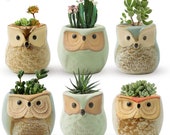 Set of 6 Small Ceramic Owl Succulent Plant Pot, Animal Plant Pot, Flower Planter Holder, Mini Cactus Planter Pots, Flower Pot Container