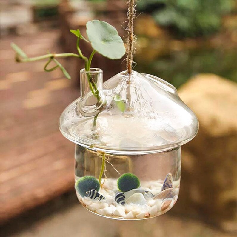 2 Pack Glass Hanging Vase Planter Vase Mushroom Shape Etsy