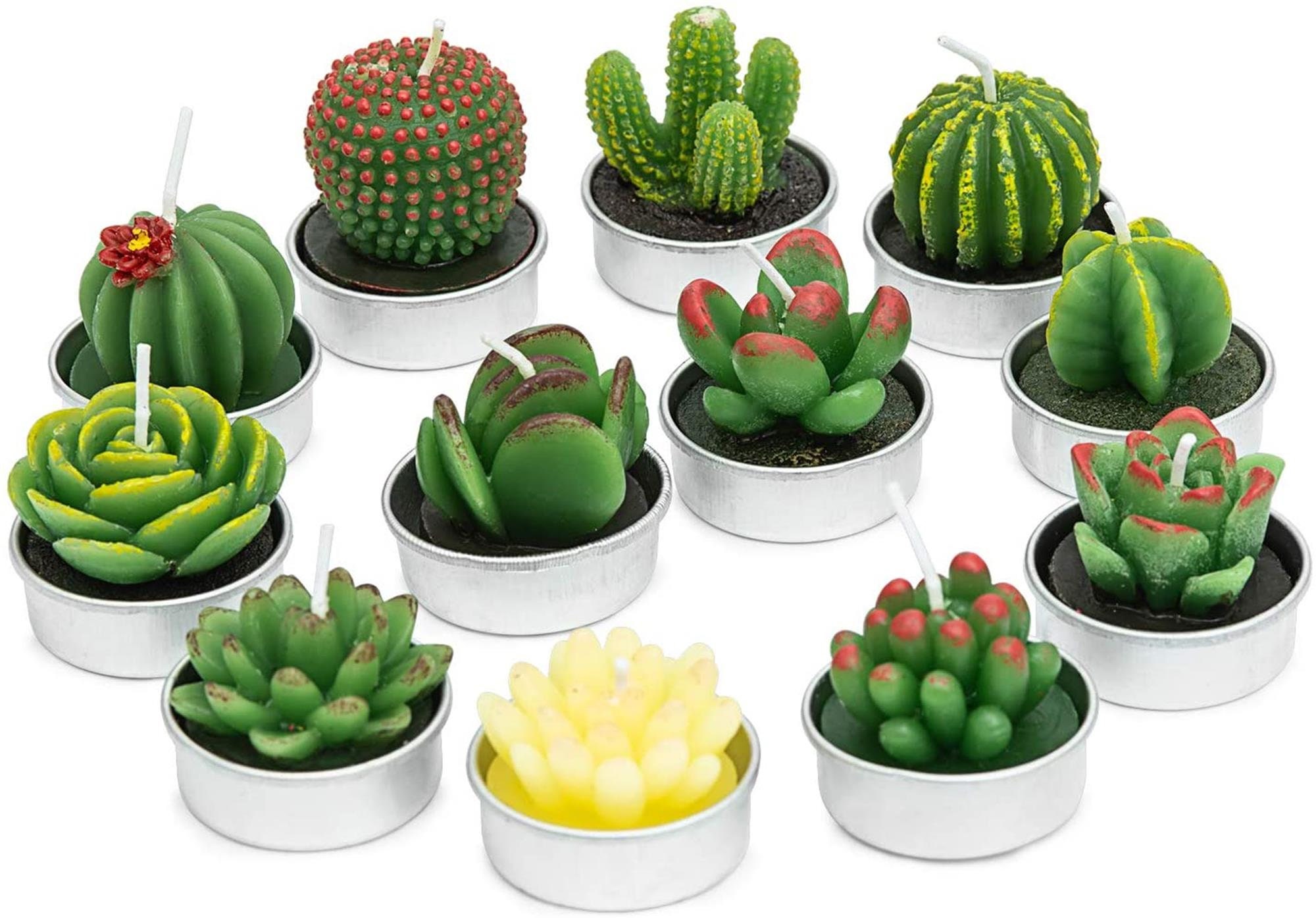 12 Pcs Handmade Delicate Succulent Cactus Candles Tealight | Etsy 12 Pcs Handmade Delicate Succulent Cactus Candles Tealight | Etsy
