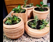 6 Ceramic Succulent Plant Pots, 3 Inch Wooden Pattern Garden Flower Planter Container with Drainage Hole for Succulent, Cactus and Herbs